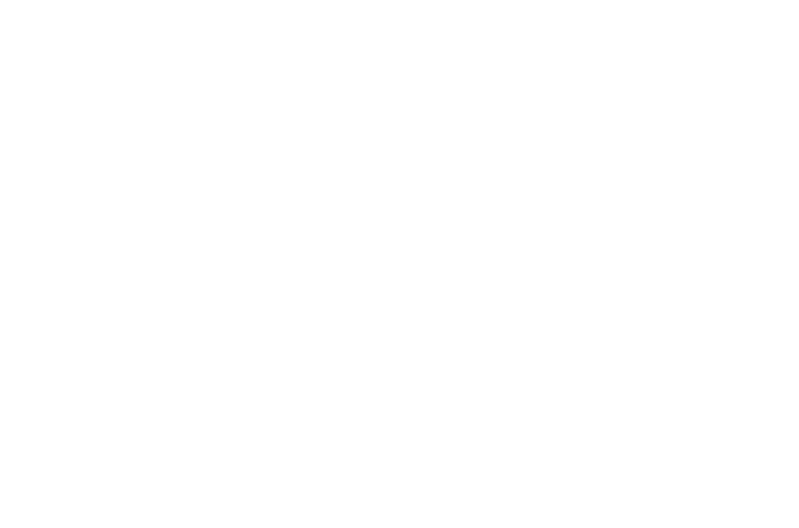 Harzwald Fotograf