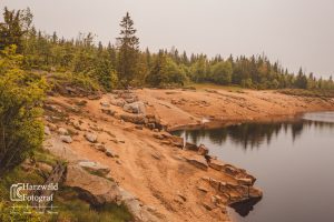 Oderteich I