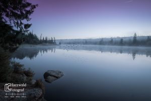 Oderteich im Morgendunst